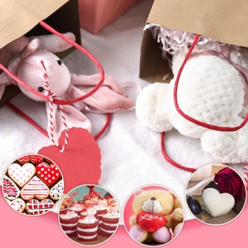 MCPINKY Valentines Day Gift Bags - Heart Love Party Packs