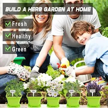 10 Herb Seeds Garden Starter Kit for Indoor Growing