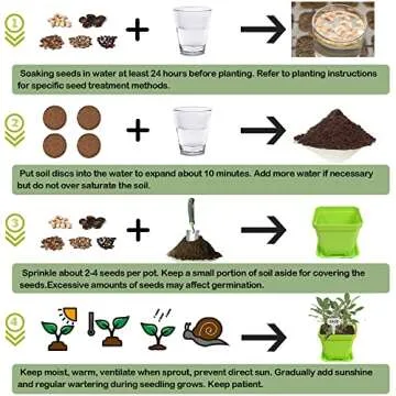 10 Herb Seeds Garden Starter Kit for Indoor Growing