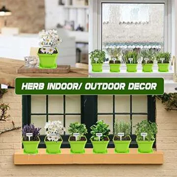 10 Herb Seeds Garden Starter Kit for Indoor Growing