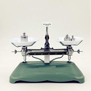 Precision 100g Scale Calibration Weight for Digital Scales