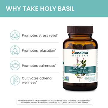 Himalaya Holy Basil Herbal Supplement for Stress Relief