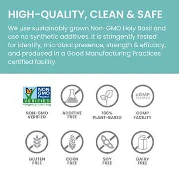 Himalaya Holy Basil Herbal Supplement for Stress Relief