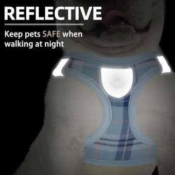 PUPTECK Dog Harness Set with Reflective Leash for Pets