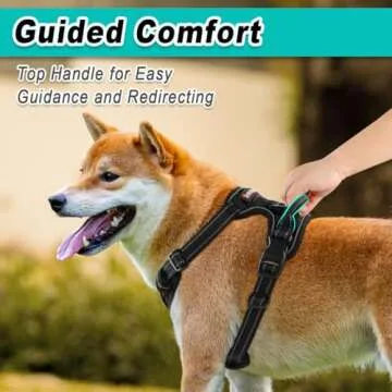 BARKBAY No Pull Adventure Dog Harness | Comfortable & Adjustable
