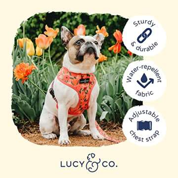 Lucy & Co. Posy Pink, Cute Reversible Dog Harness Walking Halter - Best Designer Pet Harnesses for Medium Dogs - Padded Adjustable Vest for Easy Walking (X-Large)