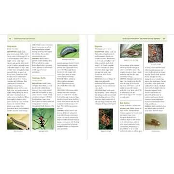 The Organic Gardener's Handbook of Natural Pest and Disease Control: A Complete Guide to Maintaining a Healthy Garden and Yard the Earth-Friendly Way (Rodale Organic Gardening)