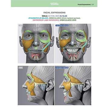 Anatomy of Facial Expressions