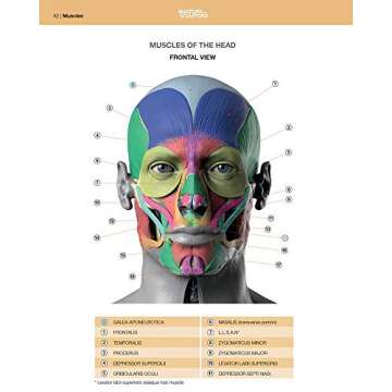Anatomy of Facial Expressions