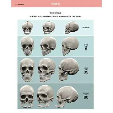 Anatomy of Facial Expressions