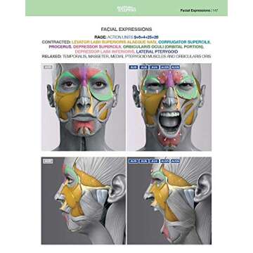 Anatomy of Facial Expressions