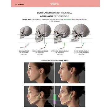 Anatomy of Facial Expressions