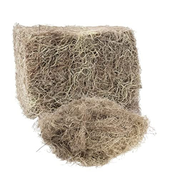 Royal Imports Preserved Natural Spanish Moss, 8 Oz - Perfect for Crafts & Gardening