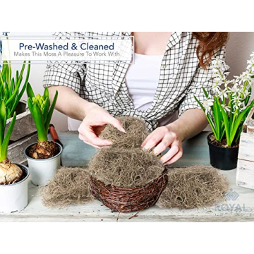 Royal Imports Dried Spanish Moss for Crafts and Gardening