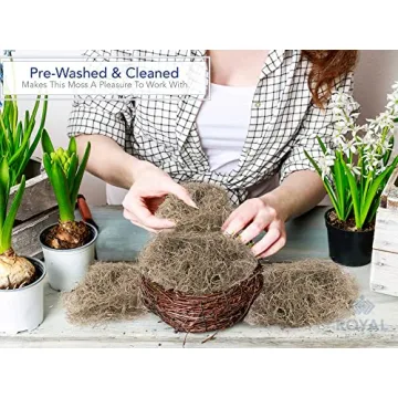 Royal Imports Dried Spanish Moss for Crafts and Gardening