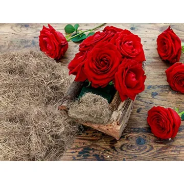 Royal Imports Dried Spanish Moss for Crafts and Gardening