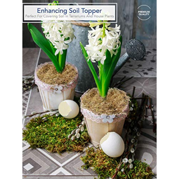 Royal Imports Dried Spanish Moss for Crafts and Gardening