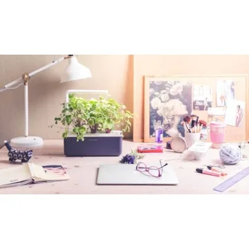 Click & Grow Indoor Herb Garden Kit for Home Kitchen