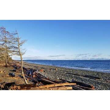Flaky Sea Salt - 8.8 oz of Large Flake Salt - Hand Harvested on Vancouver Island - Perfect for Seasoning, Baking, Cooking, and Finishing - All Natural Flaked Salt