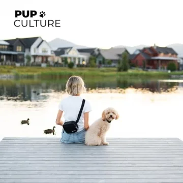 Stylish Dog Training Treat Pouch | Washable & Functional