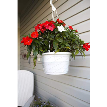Curtis Wagner 10" Hanging Basket Drip Pans - 10 Pack for Plant Care