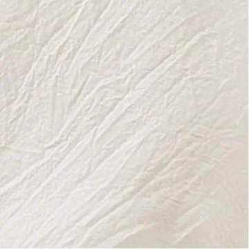 Lush Decor Reyna Ruffle Comforter Set - Cozy Elegance