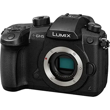 Panasonic LUMIX GH5 4K Mirrorless Camera & Lens Kit