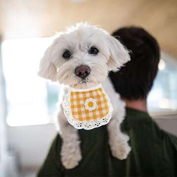 WEBEEDY 4PCS Cute Dog Lace Bandana Puppy Cat Flower Scarfs Washable Daily Handkerchief Semicircle Scarf Bibs Saliva Towel for Small Medium LargeBoy Pup Pet