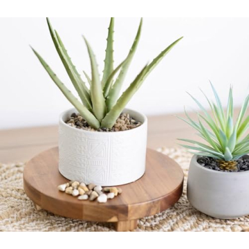 Kurrajong Farmhouse 9" Acacia Wood Pedestal Stand