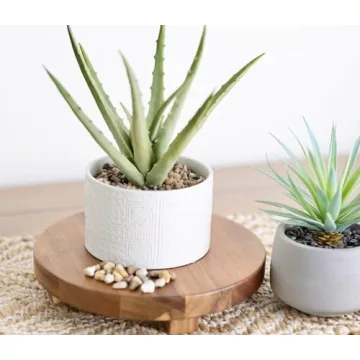 Kurrajong Farmhouse 9" Acacia Wood Pedestal Stand