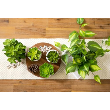 Kurrajong Farmhouse 9" Acacia Wood Pedestal Stand