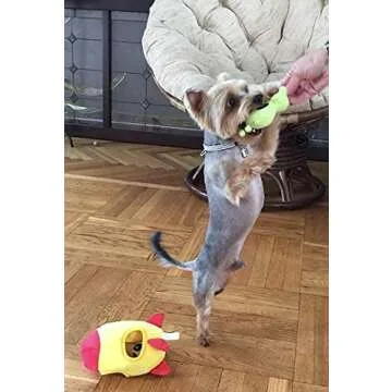 Modern Wave Spaceship and Aliens Interactive Dog Toy