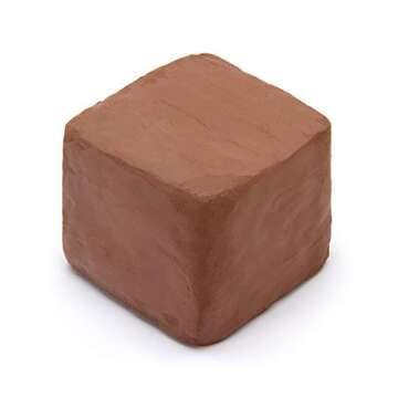 Bastex 5 lbs Low Fire Pottery Clay - Terra Cotta, Cone 06. Earthware Potters Throwing Clay. Moist De...