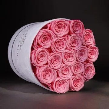 Forever Real Roses in Suede Box - 17-Piece Roses in a Box - Real Preserved Roses That Last Over a Year - Preserved Flowers for Delivery Prime - Valentine's Day, Birthday, Mother's Day (Light Pink)
