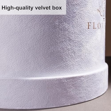 Forever Real Roses in Suede Box - 17-Piece Roses in a Box - Real Preserved Roses That Last Over a Year - Preserved Flowers for Delivery Prime - Valentine's Day, Birthday, Mother's Day (Light Pink)