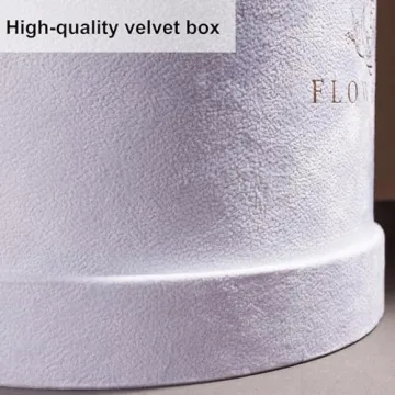 Forever Real Roses in Suede Box - 17-Piece Roses in a Box - Real Preserved Roses That Last Over a Year - Preserved Flowers for Delivery Prime - Valentine's Day, Birthday, Mother's Day (Light Pink)