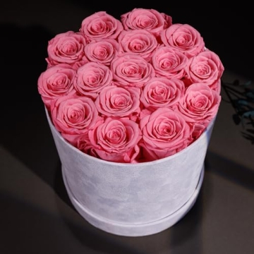 Forever Real Roses in Suede Box - 17-Piece Roses in a Box - Real Preserved Roses That Last Over a Year - Preserved Flowers for Delivery Prime - Valentine's Day, Birthday, Mother's Day (Light Pink)
