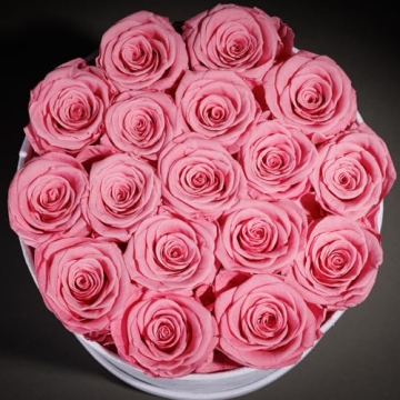 Forever Real Roses in Suede Box - 17-Piece Roses in a Box - Real Preserved Roses That Last Over a Year - Preserved Flowers for Delivery Prime - Valentine's Day, Birthday, Mother's Day (Light Pink)
