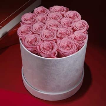 Forever Real Roses in Suede Box - 17-Piece Roses in a Box - Real Preserved Roses That Last Over a Year - Preserved Flowers for Delivery Prime - Valentine's Day, Birthday, Mother's Day (Light Pink)