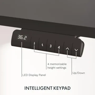FLEXISPOT E6 Electric Standing Desk 55x28 Inch