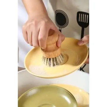 Eco-Friendly Dish Brush Kitchen Scrub Set of 3 for Cleaning