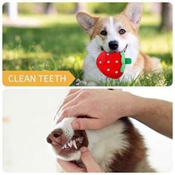 Toozey 12 Pack Puppy Teething Toys for Small Dogs - Plush Squeaky & Rope Chew Set Bundle, Safe Durable and Non-Toxic for Interactive Play and Dental Health