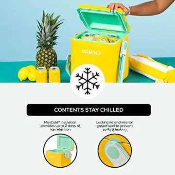 Igloo 11 Qt Tag Along Cooler for Outdoor Adventures