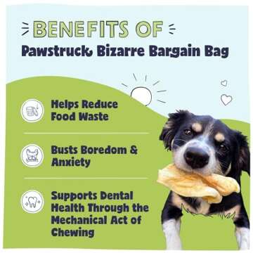 Pawstruck Bizarre Bargain Bag Assorted Natural Dog Chew Treats - Animal Ears, Jerky, Bones, Hooves, Beef Straps - Long Lasting Rawhide Alternative for Chewers, All Breeds - 1 lb, Packaging May Vary