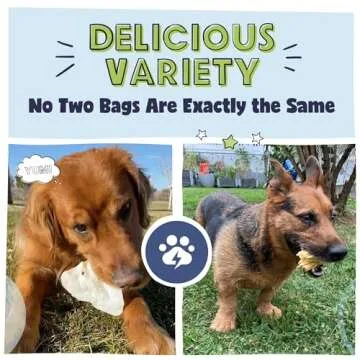 Pawstruck Bizarre Bargain Bag Assorted Natural Dog Chew Treats - Animal Ears, Jerky, Bones, Hooves, Beef Straps - Long Lasting Rawhide Alternative for Chewers, All Breeds - 1 lb, Packaging May Vary