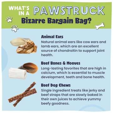 Pawstruck Bizarre Bargain Bag Assorted Natural Dog Chew Treats - Animal Ears, Jerky, Bones, Hooves, Beef Straps - Long Lasting Rawhide Alternative for Chewers, All Breeds - 1 lb, Packaging May Vary