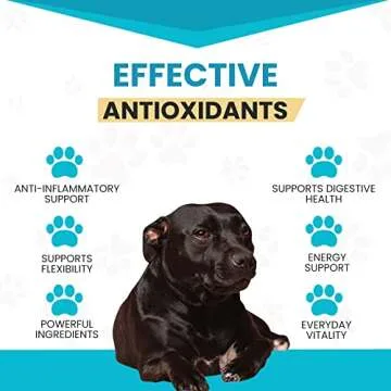 10-in-1 Dog Multivitamin for Energized Canine Health