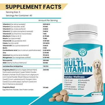 10-in-1 Dog Multivitamin for Energized Canine Health