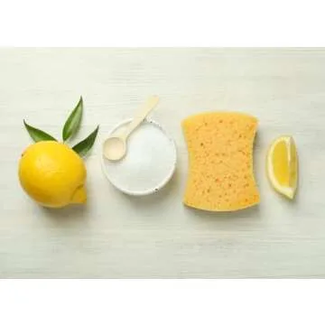 Earthborn Elements Citric Acid for Cleaning and Cooking