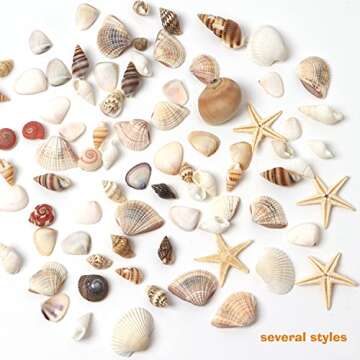 HAPY SHOP 1200 Pieces Tiny Sea Shells and Starfish for Crafting